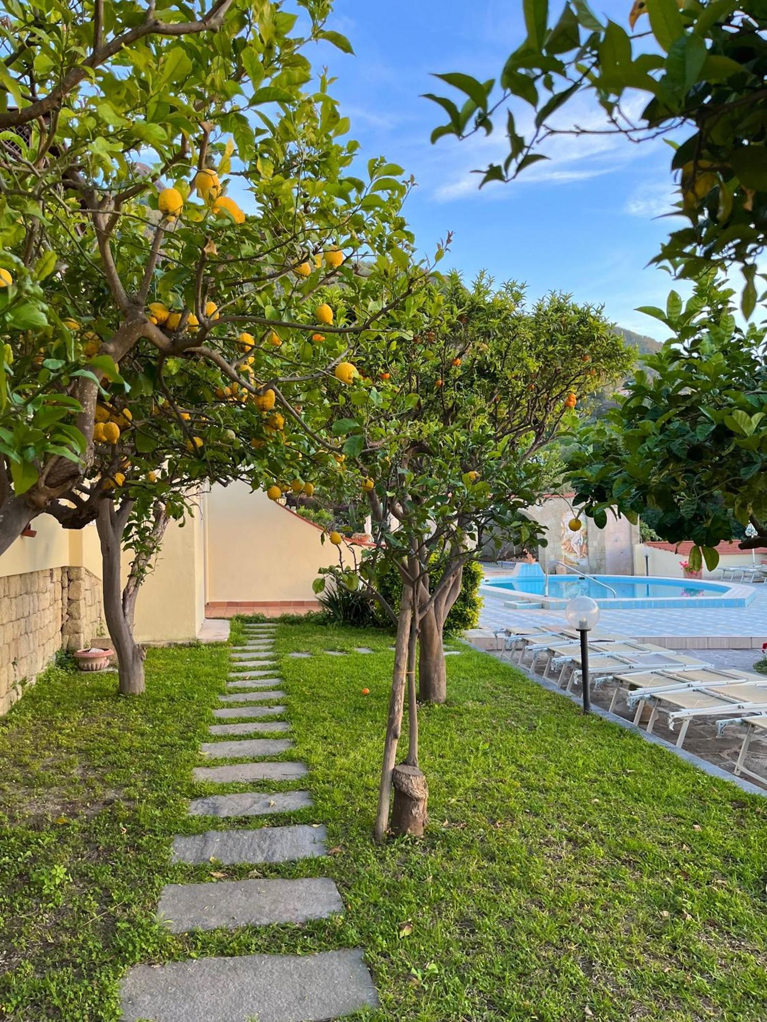Resort Villa Flavio Casamicciola Terme Eksteriør billede
