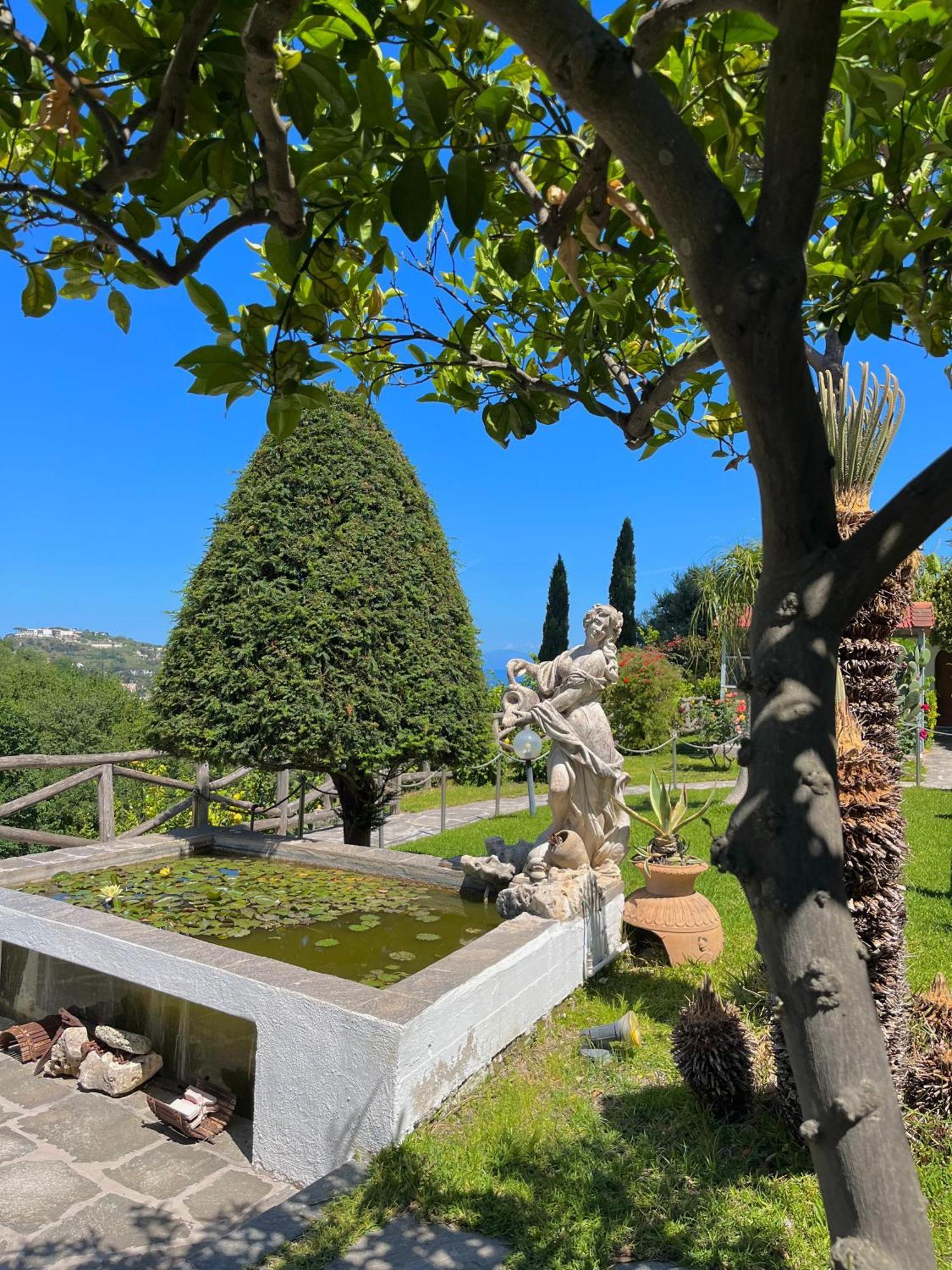 Resort Villa Flavio Casamicciola Terme Eksteriør billede