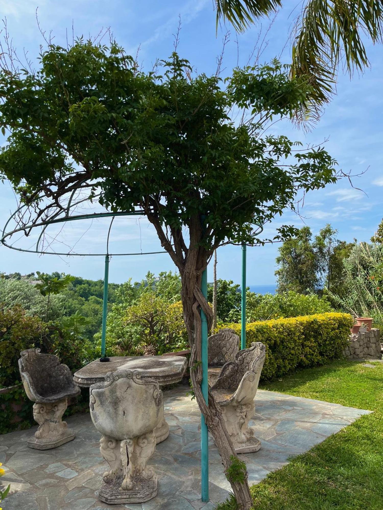 Resort Villa Flavio Casamicciola Terme Eksteriør billede