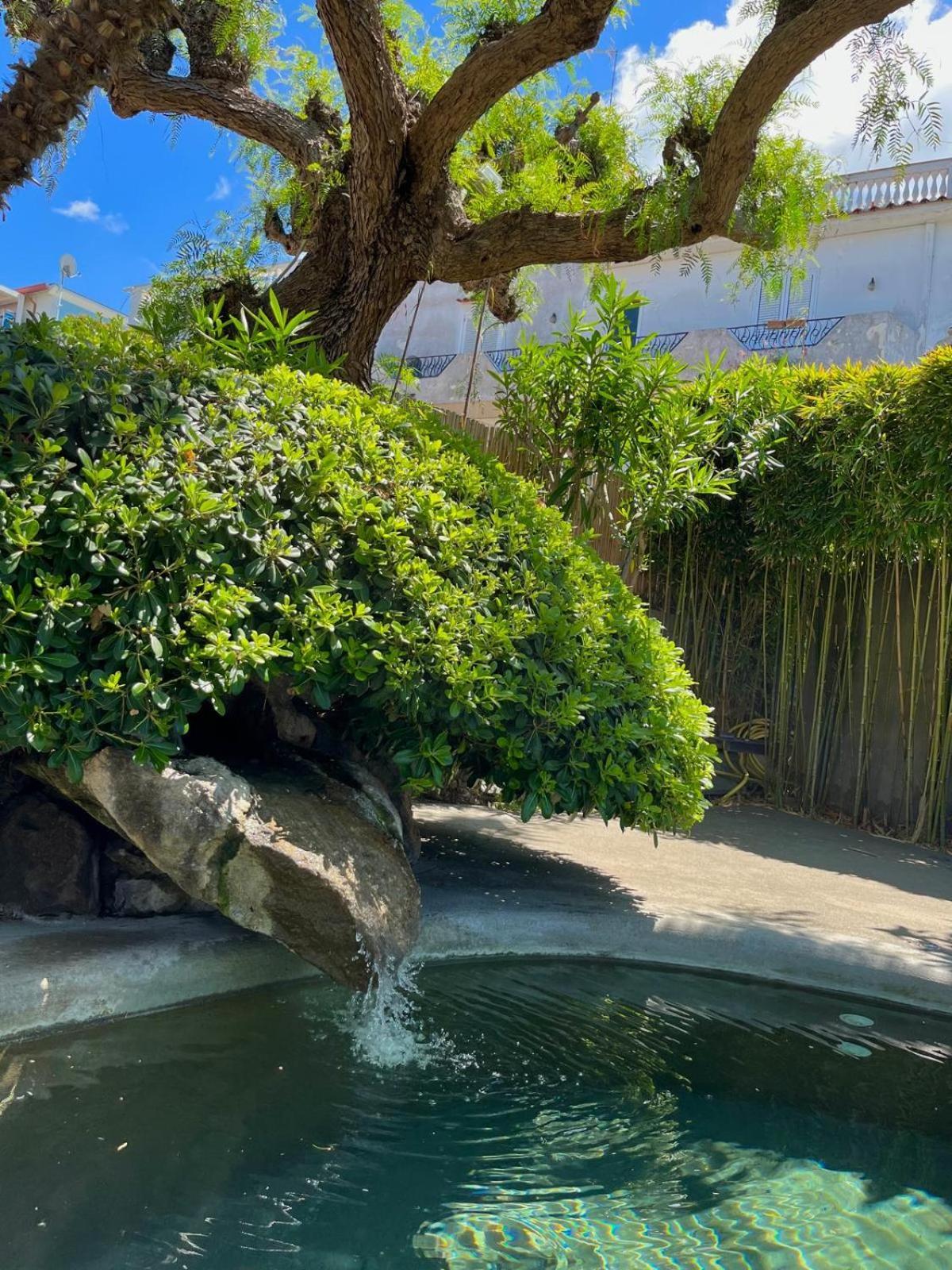 Resort Villa Flavio Casamicciola Terme Eksteriør billede