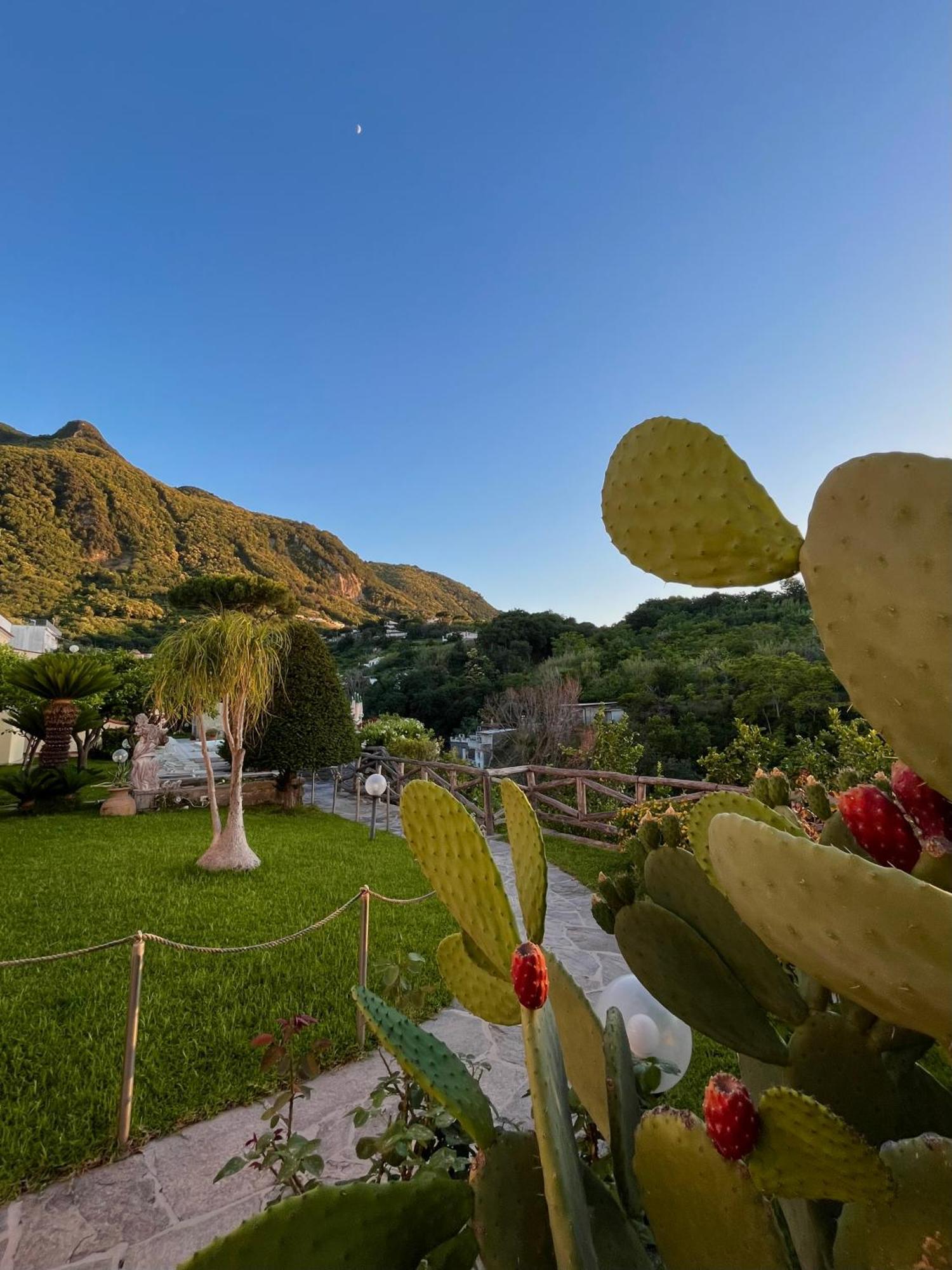 Resort Villa Flavio Casamicciola Terme Eksteriør billede