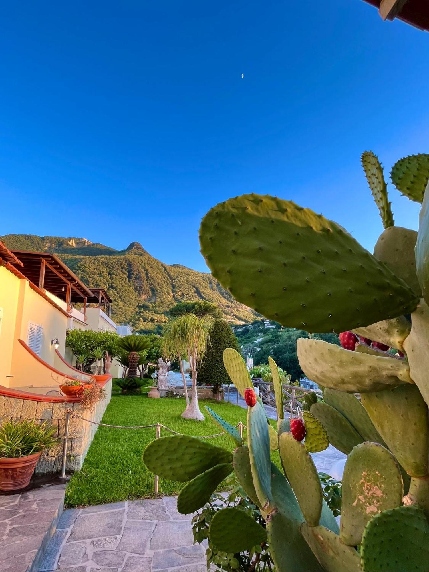 Resort Villa Flavio Casamicciola Terme Eksteriør billede