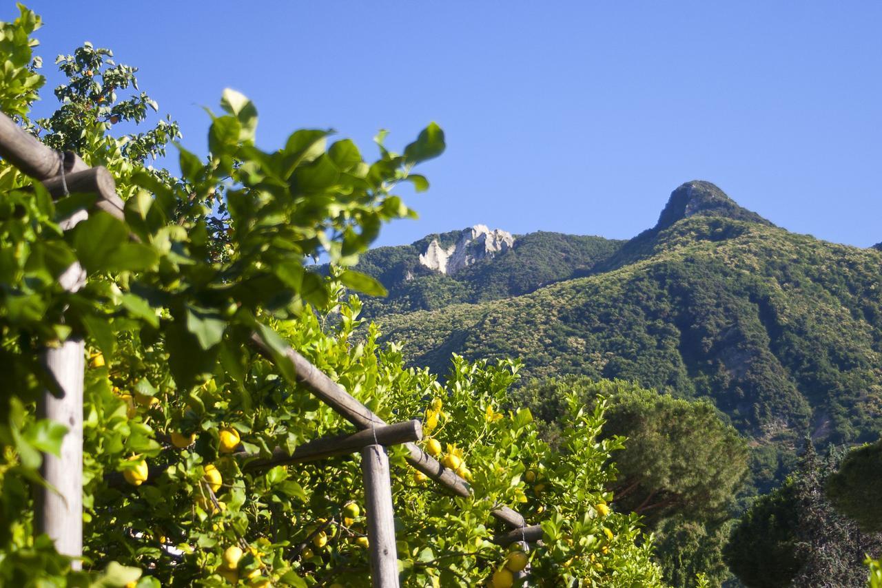 Resort Villa Flavio Casamicciola Terme Eksteriør billede