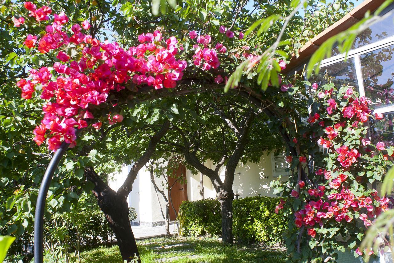 Resort Villa Flavio Casamicciola Terme Eksteriør billede